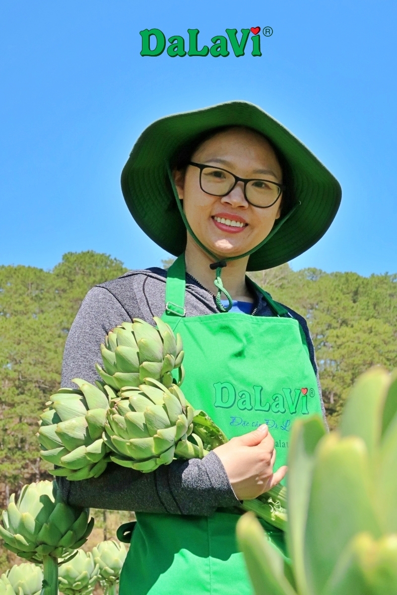 Mùa Atiso Đà Lạt - Thời điểm vàng để mua bông atiso tươi giá sỉ