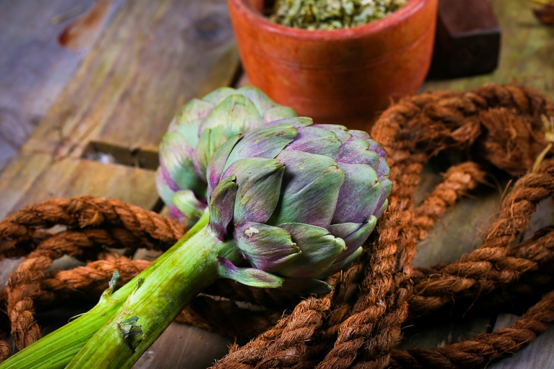 Bông atiso sạch Đà Lạt từ vùng trồng chuẩn quốc tế