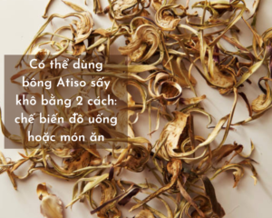 Co the dung bong Atiso bang 2 cach