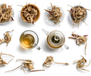 Uống trà Atiso có tốt không? Sử dụng trà Atiso đúng cách! - Ảnh 2