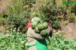 z5219277027779 62e0001cc16131a02640adf05a51df47