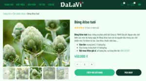 web sp bong atiso tuoi