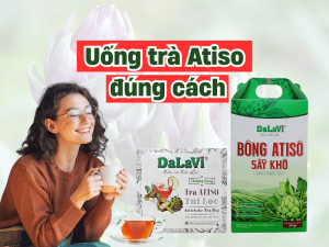 uong tra atiso dung cach